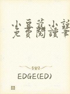 小豆蔻小说全文免费阅读笔趣阁