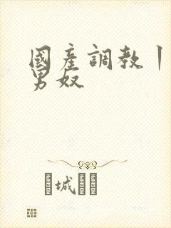 国产调教丨vk男奴