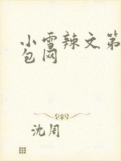 小雪辣文第二书包网