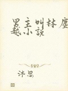 男主叫林尘的穿越小说