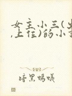 女主小三(出轨,上位)的小说