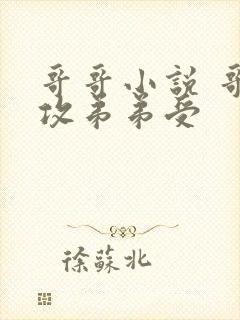 哥哥小说 哥哥攻弟弟受