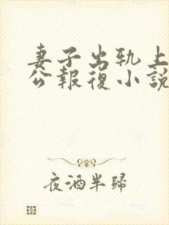 妻子出轨上司老公报复小说