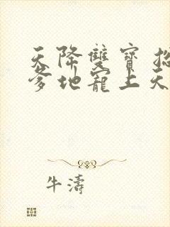 天降双宝 总裁爹地宠上天