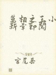 万相之王小说最新章节阅