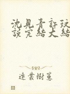 沈见青许玟玟小说完结大结局封面