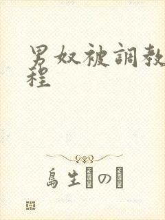 男奴被调教全过程封面