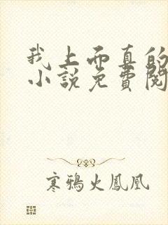 我上面真的有人小说免费阅读