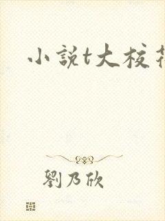 小说t大校花
