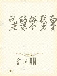 我的总裁白富美老婆全免费的小说