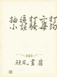 抽逼打穴打屁股小说骚母狗调教