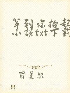 等到你抬起头时小说txt下载