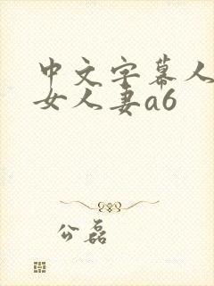 中文字幕人妻熟女人妻a6