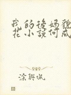 我的后妈貌美如花小说何成在线阅读