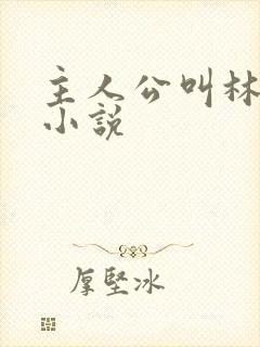 主人公叫林玄的小说封面