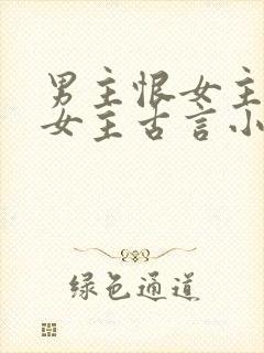 男主恨女主报复女主古言小说封面