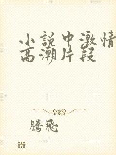 小说中激情缠绵高潮片段