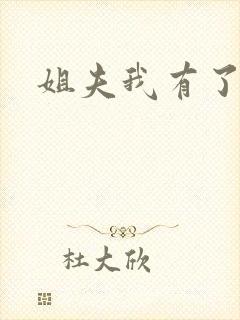 姐夫我有了小说