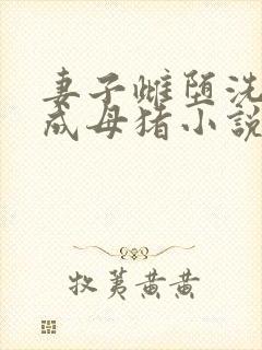 妻子雌堕洗脑变成母猪小说