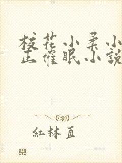 校花小柔小刚小正催眠小说