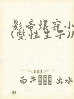 影帝爆宠小骚妻(双性生子)h封面