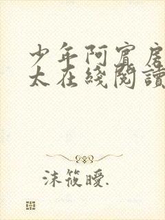 少年阿宾房东太太在线阅读