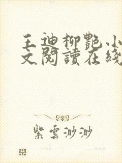 王迪柳艳小说全文阅读在线