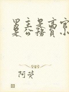 男主是高官女主是公务员小说