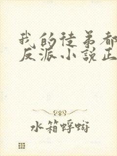 我的徒弟都是大反派小说正版免费