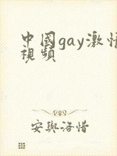 中国gay激情视频封面
