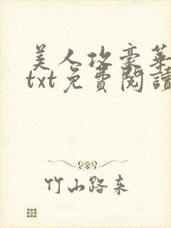 美人攻豪华合集txt免费阅读封面