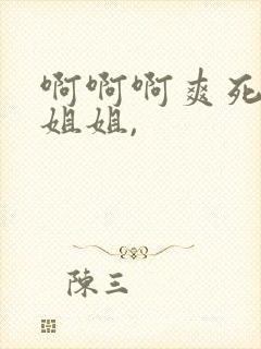 啊啊啊爽死你了姐姐,封面