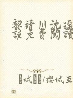 黎靖川沈瑶初小说免费阅读最新章节