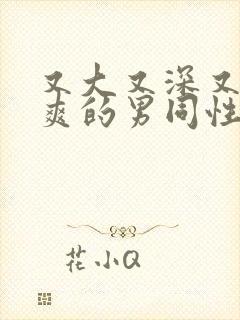 又大又深又猛又爽的男同性恋视频