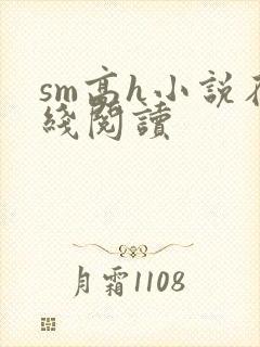 sm高h小说在线阅读