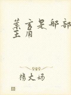 叶玄是哪部小说主角封面