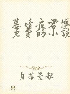 慕晴夜君博全文免费的小说