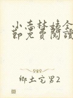 小志林姨全部章节免费阅读