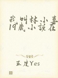 我叫林小喜今年19岁小说在线阅读全文封面