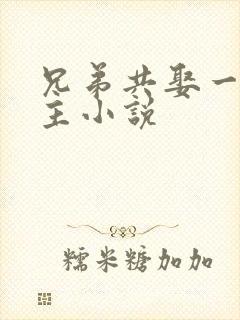 兄弟共娶一个妻主小说