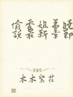 偷香姐弟晓颖小说最新章节更新内容