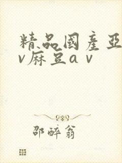 精品国产亚洲av麻豆aⅴ