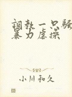 调教一只骚母狗暴力虐操