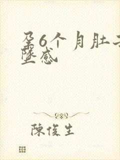 孕6个月肚子下坠感封面