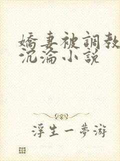 娇妻被调教开发沉沦小说封面