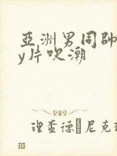 亚洲男同帅gay片吹潮封面