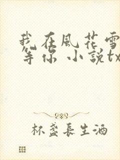 我在风花雪月里等你 小说txt下载