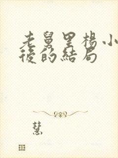 老舅里杨小姐最后的结局