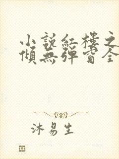 小说红楼之挽天倾无弹窗全文免费阅读