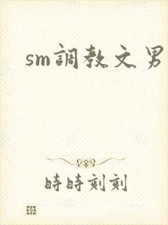 sm调教文男男